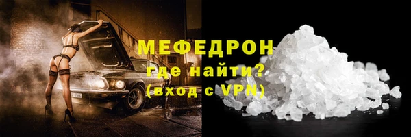 индика Вяземский