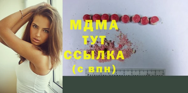 индика Вяземский