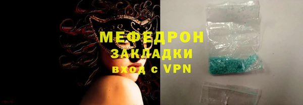 индика Вяземский