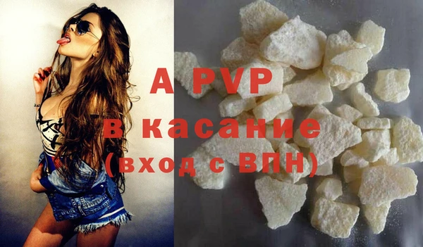 индика Вяземский