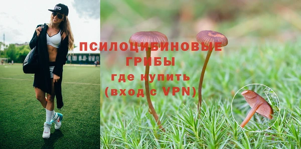 индика Вяземский