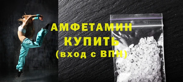 индика Вяземский