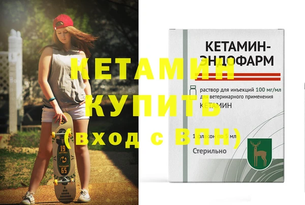 индика Вяземский