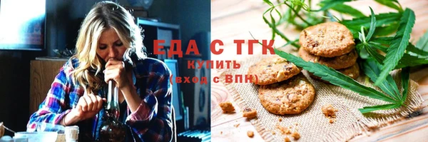 индика Вяземский