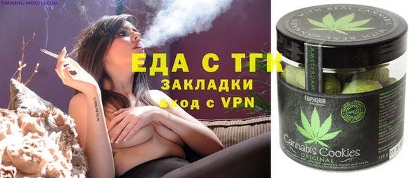 индика Вяземский