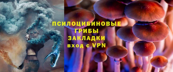индика Вяземский