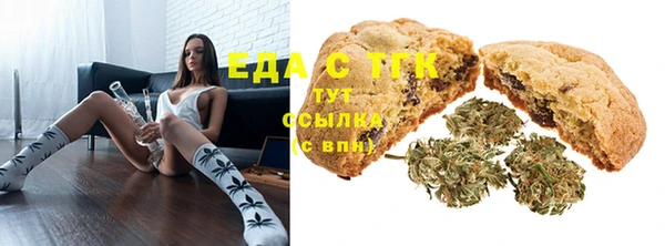 индика Вяземский
