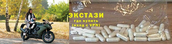 индика Вяземский